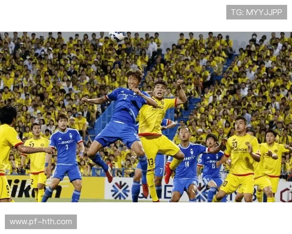 杭州排球队的战术解析与控制技巧深度探讨